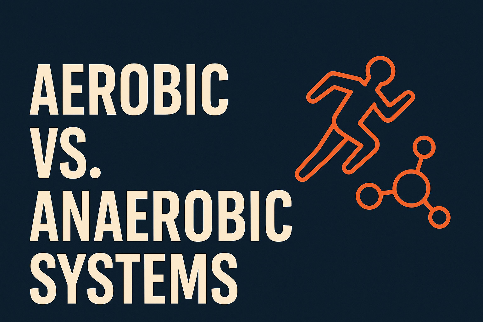 Aerobic vs. Anaerobic Systems: How Your Body Powers Every Run